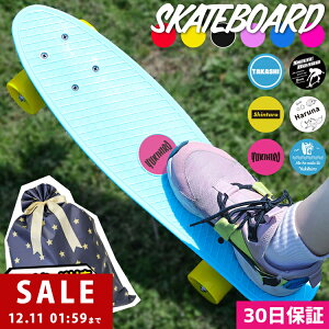 XP[g{[h LbY  ~jN[U[ XP[g{[h {[h N[U[ XP{[  AEghA qǂ 22C` S Mtg 蕨 w j̎q ̎q ЂȍՂ v