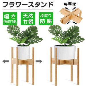 y~25%+P1{IzLEVR|ELk\Aؔ X^h ؐ hh̎h 22`31cm܂ŐLk ㉺]p\ t[X^h / ϗtAX^h / v^[X^