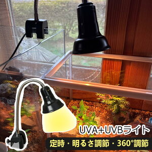 yH18%+P1{Iz莞E邳߁Epx߁DEWEL ঒ރCg OCg oXLOCg TCg ঒ q[^[ UVA UVB ^C}[t 邳\ Tp v^C 