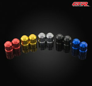 yꕔ݌ɂzz_ ADV150 ouLbv GAouLbv A~ JX^ p[c 5F 101026