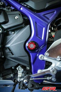 }n YZF-R25 GTR t[ z[ Jo[ 5F 4206095365