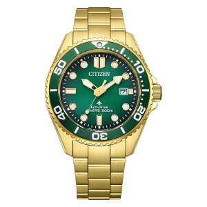�V�`�Y�� BN0262-59W�v���}�X�^�[�@MARINE�V���[�Y�G�R�E�h���C�u