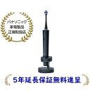 パナソニック EW-DT73-A[5年延長保証無料進呈](EWDT73A) 音波振動ハブラシ ドルツ