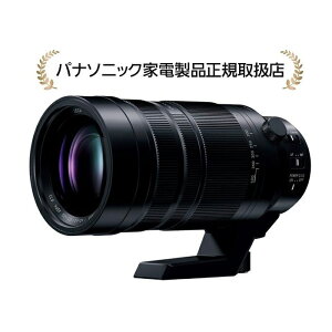pi\jbN H-RSA100400 LUMIX fW^JpY