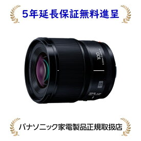 パナソニック S-E100[5年延長保証無料進呈]デジタル一眼カメラ用交換レンズ