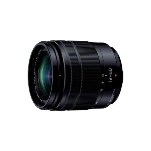 pi\jbN H-FS12060 LUMIX fW^JpY