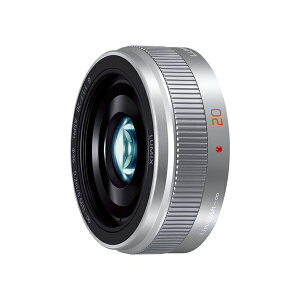 pi\jbN H-H020A-S LUMIX fW^JpY