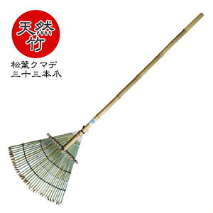 y |N}fE33{ 140×40ztF@|F |܂