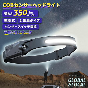 |Cg7{y[dVRCOB LEDwbhCg SK-2035ZT[XCb`tzUSB TYPE-C yʁ@ƂĂȂ@350lm IPX4h