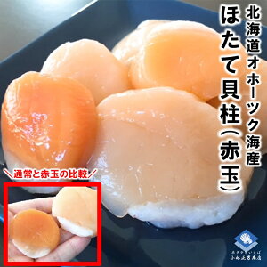 z^e ق  kCIz[cNCY Ⓚz^eL ԋ 1kg hgp  Mtg  Ε ̓ hahanohi