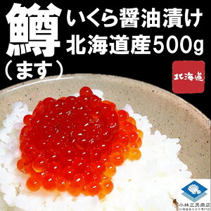 優れた 砂の 有害な 北海道 いくら 取り寄せ Hana Mochi Jp