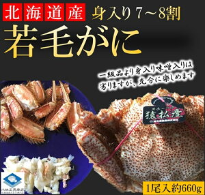 毛ガニ 特大の人気商品 通販 価格比較 価格 Com 毛ガニ 特大の人気商品 通販 価格比較 価格 Com