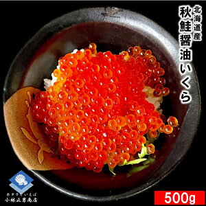  CN ݖЂ 500g×2 v1.0kg kCY H ōi t Mtg 