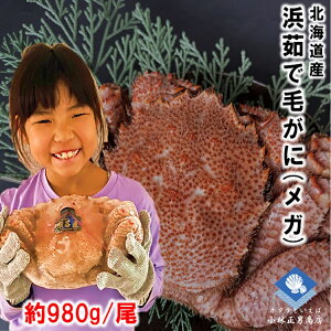 y2025NVׁzуKj т ъI kCY l䥂ŖуKj 1t980g KTCY ŏ㋉i Kj Mtg t 2025N ̓ titinohi
