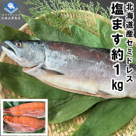 ます マス 鱒 北海道産 塩ます セミドレス品 約1kg 1尾 お買得 条件付き送料無料