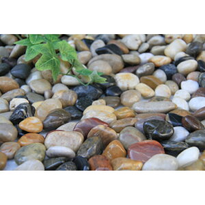 VR 1kg ʍ I RainbowXg[ IWiVR΁@ܐF ϗtA@5(15`20mm)@8(20`25mm)