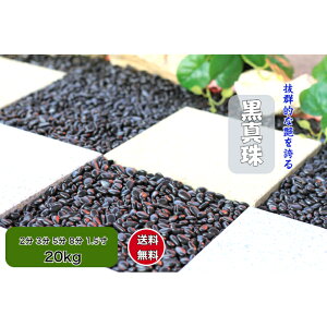 ʐ  20kg ō (^)@ʍ     ʐ   ʍ  ߒqΕ ʐ  5 2(6`9mm) 3(10`15mm) 5(16`20mm) 8(22`30mm) 1.5(30`50mm)