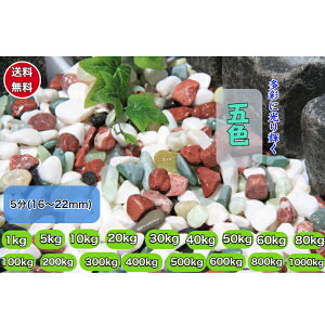  VRʐ ܐF IWi J[tʍ (    CG[) VR O\ |A A 5(15`20mm)