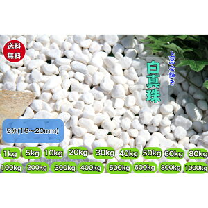 ʍ ΁@^@zCg@|@ϗtA@Ԓd@eX@K[fjO@~@@5(16`20mm)