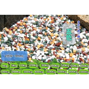 ʐ΁@ܐF@VRʍ@2(6`9mm)@IWiJ[t ʍ (    CG[) VR