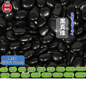 ʐ  5(16`20mm) ō@(^)@ʍ     ʐ   ʍ  ߒqΕ ʐ