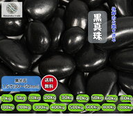 黒玉石 庭石 1.5寸(30～50mm) 最高級黒玉砂利 (黒真珠) 磨き 光沢 砂利 庭 黒玉石 砂利石 高級 黒玉砂利 …