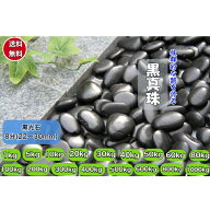 黒玉砂利 8分( 22～30mm)最高級 庭石(黒真珠) 磨き 光沢 砂利 庭 黒玉石 砂利石 高級 黒玉砂利 黒玉 那智…