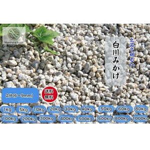 ݂ʐ  O[n IVR aeʍ K[fjO O\ | 2(6`9mm)