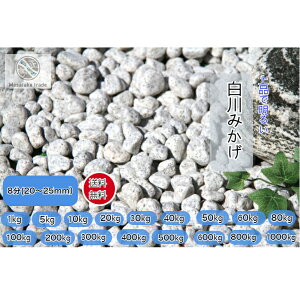 ݂ʐ  8(20`25mm) O[n IVR aeʍ K[fjO O\ |