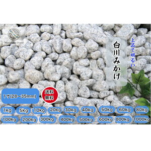 ݂ʐ  1(28`35mm) O[n IVR aeʍ K[fjO O\ |