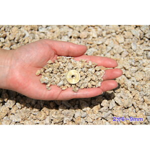  덻 300kg Ӑ KF ɐVR2(6`9mm) {뉀 m a ͎R뉀 O\ a K[fjO@hƍ