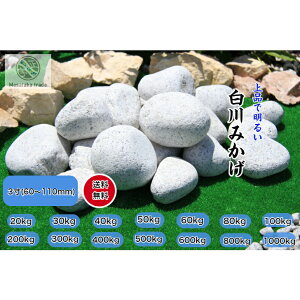   e΋ʐ 3(60`110mm)@I 100Y@VRԛ a eʍ