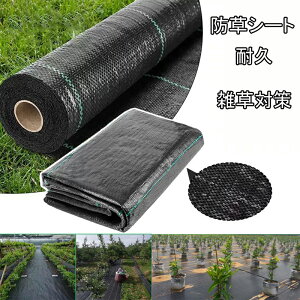 hV[g V[g Gh~V[g GV[g ڂV[g Gh~ 1m 10m 20m 50m 100m G΍ sDz   i Ռ 悯V[g |pi DIY  K[fjO  