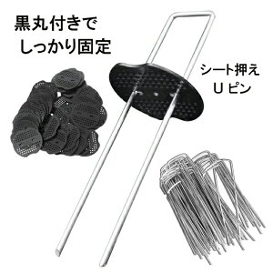 hV[g s UsY 50/100/200{Zbg V[g ەt Œs R^s V[g lH s s s15cm sa3mm |V[g U^ }Y wAsY