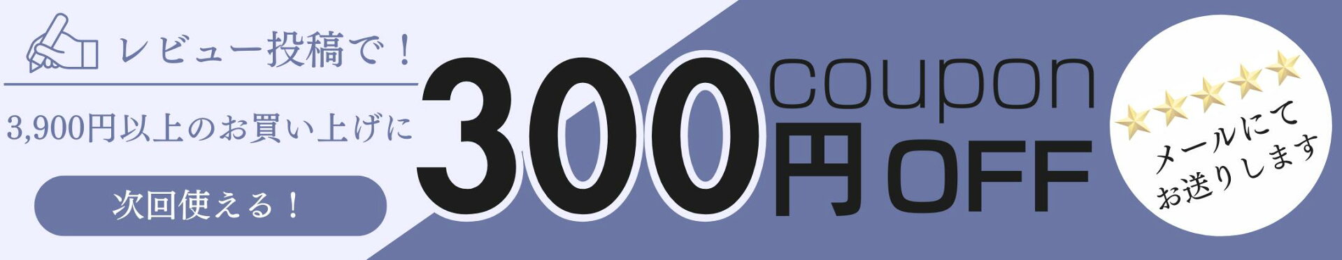 レビュー300円