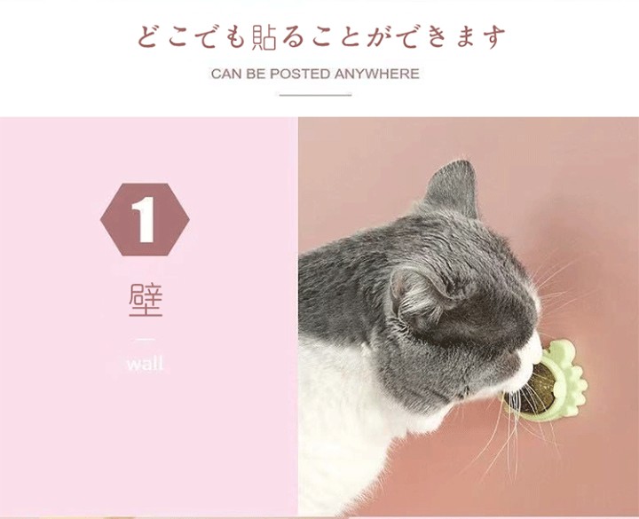 楽天市場】猫 ロリポップ ペパーミント ボール ミューティアン 猫草 猫