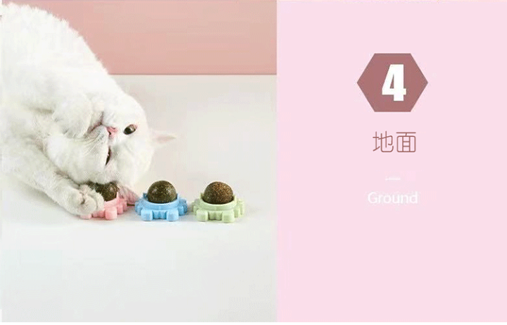 楽天市場】猫 ロリポップ ペパーミント ボール ミューティアン 猫草 猫