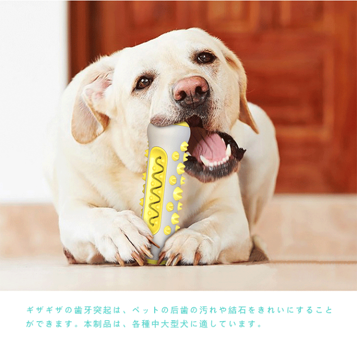 楽天市場】犬用 噛むおもちゃ 餌 おやつ ペット 歯磨き 玩具 犬