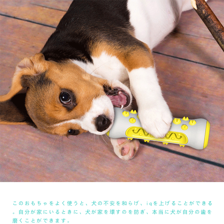 即日発送❣️犬用　噛むおもちゃ トレーニングや歯の掃除に　トレーニング　イエロー 即日発送❣️犬用 噛むおもちゃ トレーニングや歯の掃除に