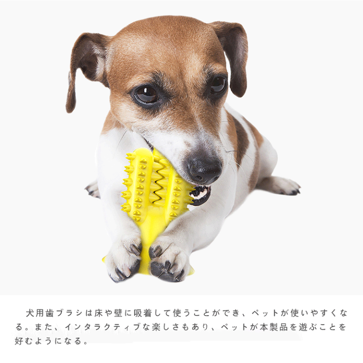 楽天市場】犬用 噛むおもちゃ サボテン 歯磨き 玩具 犬 おもちゃ
