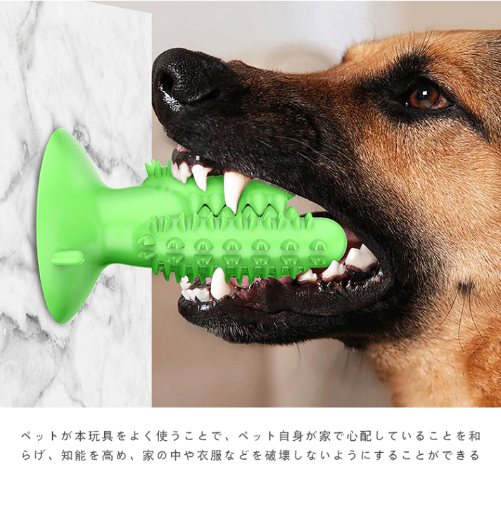 市場 犬用 吸盤 ペット用品 スティック おもちゃ 耐久性 噛む かわいい 散歩 サボテン