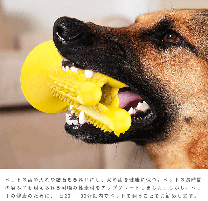 楽天市場】犬噛むおもちゃ コーン型 ワンちゃんの歯磨き安全