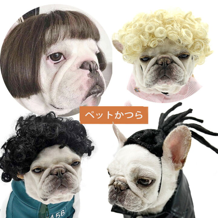 楽天市場 ウィッグ ペット用 犬猫コスチューム 犬コスチューム ペットかつら 犬仮装 犬服 犬の服 ワンちゃんグッズ 雅美良品 楽天市場店 楽天市場 ウィッグ ペット用 犬猫コスチューム 犬コスチューム ペットかつら 犬仮装 犬服 犬の服 ワンちゃんグッズ 雅美良品 楽天市場店