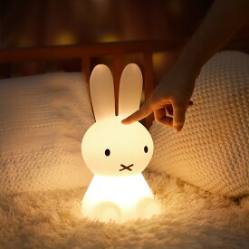 ナイトライト LED ランプ 間接照明 USB充電式 授乳 ライト おやすみライト 寝室用 リモコン制御 プレゼント