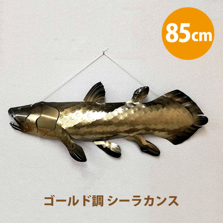 楽天市場 インテリア オブジェ ゴールド調 シーラカンス Nh 0 壁 魚 釣り好き 古代魚 深海魚 深海生物 サカナ さかな 釣り 誕生日 プレゼント ギフト おもしろ 雅美良品 楽天市場店