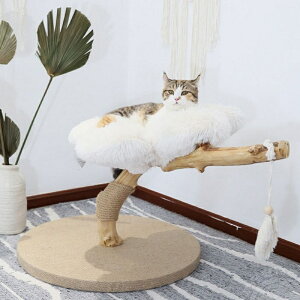 Lxbh ܂Ƃ nbN VjA L L ˂ ybg ybgpi ybgObY  LObY