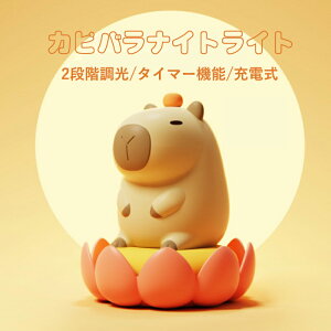 iCgCg 킢 Jso^ Cg fXNCg LED v USB[d g q  ԐڏƖ a v[g