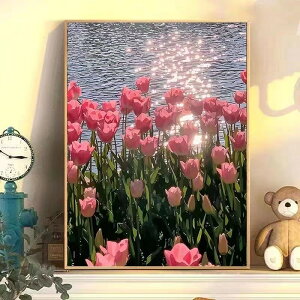 G l̓hG GZbg yCgA[g œhG t[t pYhG 40x50cm CeA Ǌ|pYG G`