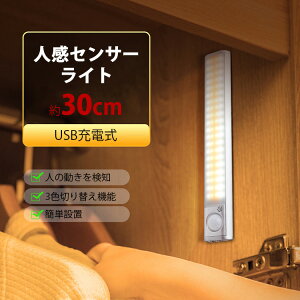 lZT[Cg ZT[ Cg  [d USB[d LEDCg 30cmyԊO m N[[bg   L Ki ʏ  d ЊQz