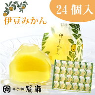 伊豆みかん　　（夏限定）　　【24個入箱】菓子舗間瀬